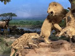 -国家自然博物馆