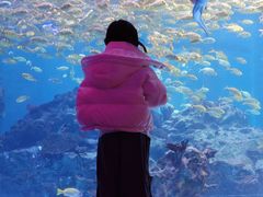 -海合安成都极地海洋公园