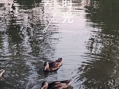 -森林公园(尖草坪区)