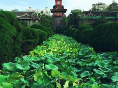 -四川大学(华西校区)