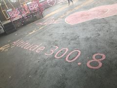 -MAMACHA妈妈茶(岳麓山店)