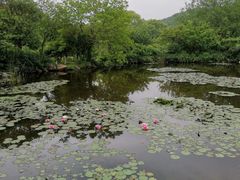 -白马涧龙池景区