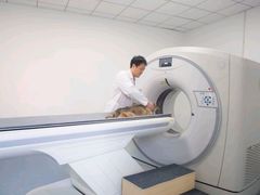 -派美特宠物医院·核磁CT·骨科肿瘤·疑难转诊(沈农禾丰店)