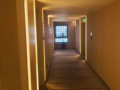 -电谷雅阁国际大酒店