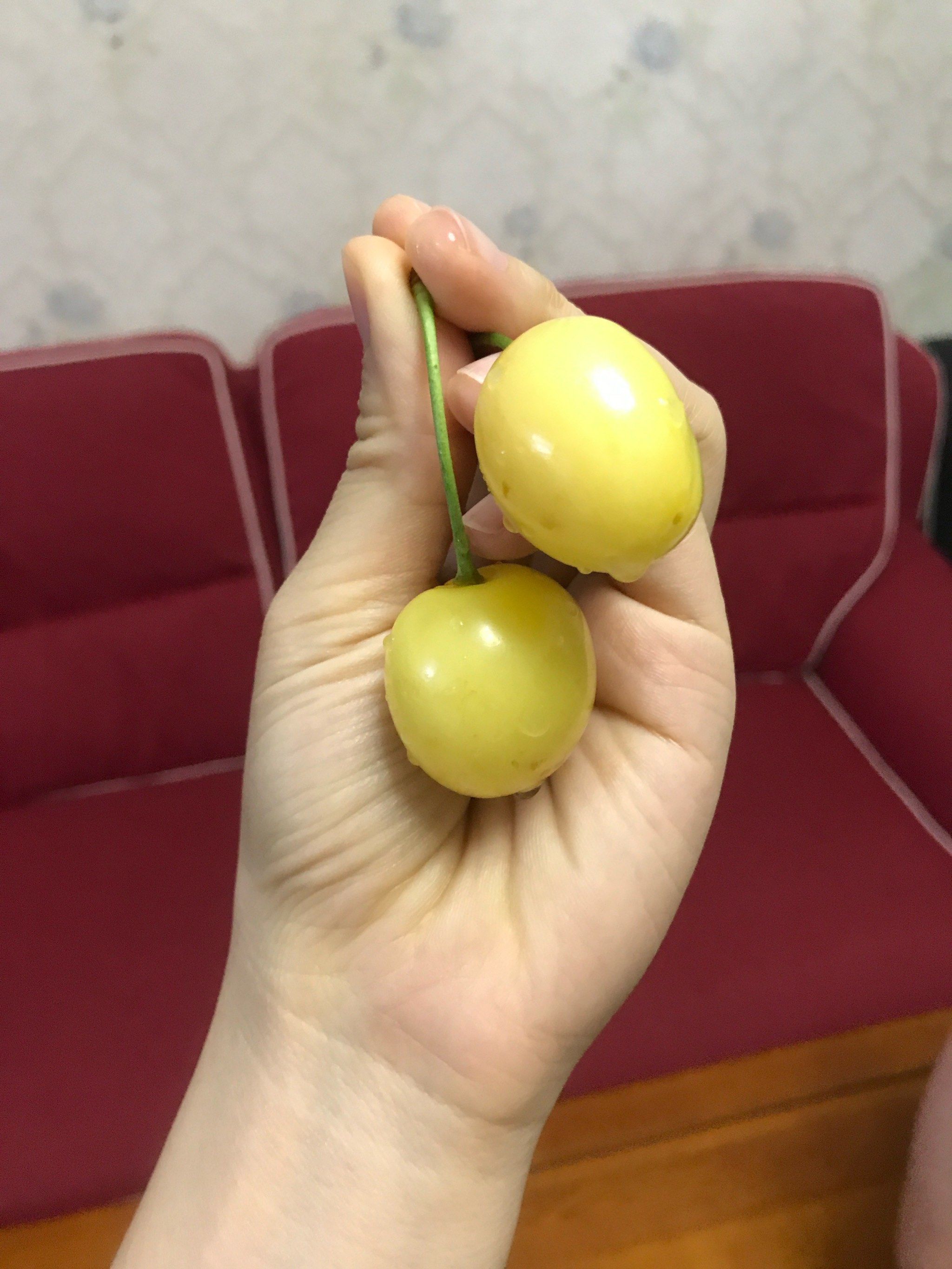 黄色的大樱桃黄蜜,味道不错哟