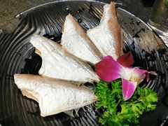 泰国耗儿鱼-渝涯重庆豆花老火锅(中赢国际店)