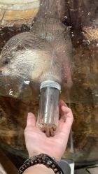 -Zoolung Zoolung动物主题公园(海信广场店)