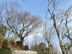 -青龙山公园