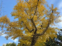 -苏州河梦清园环保主题公园