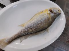 -长平肥姐白粥·海鲜打冷