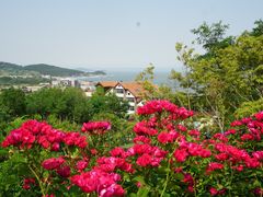 -崂山仰口游览区