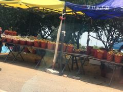 -美味之家·湖景农家乐(太湖东山店)