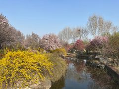 -石家庄市植物园