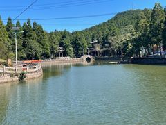 -玉苍山国家森林公园