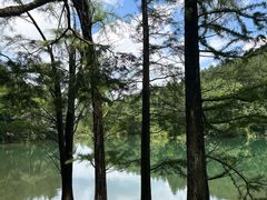 -四明山国家森林公园