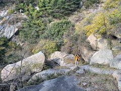 -鲁山国家森林公园