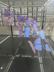 -酷嗒动物文化乐园(cutezoo西溪乐天城店)