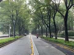 -后襄河公园