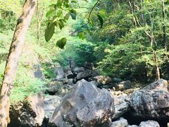 -花岩国家森林公园