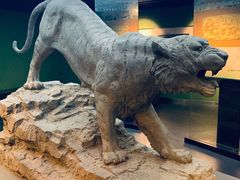 -鄂尔多斯青铜器博物馆