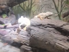 -成都动物园
