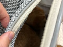 -北京观赏动物医院·24小时大型综合·猫专科·异宠专科