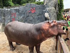 -贵州森林野生动物园