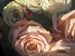 -Butchart布查德鲜花(花艺设计中心)
