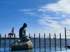 -大阪海游馆