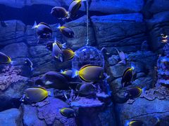 -成都浩海立方海洋公园