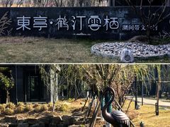 -盐城丹顶鹤湿地生态旅游区