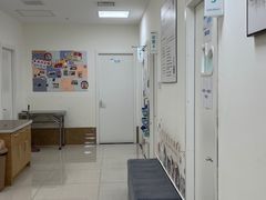 -美联众合动物医院·24h京西诊疗中心