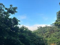 -阳台山森林公园