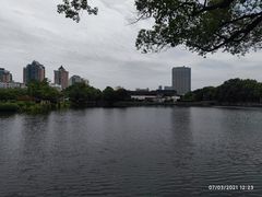 -月湖公园