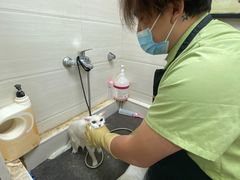 -芭比堂动物医院·心脏专科·夜诊·吉雅分院