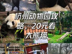 -杭州动物园