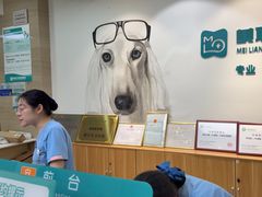 -美联众合动物医院·24h转诊中心