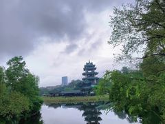 -桂湖森林公园
