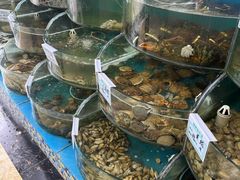 -叶存利海鲜大馅饺子(海宁路总店)
