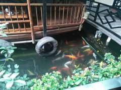 -优之名鹅城
