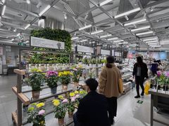 -鹿岛生活(熙地港店)