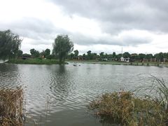 -明珠湖天鹅苑·农家菜馆