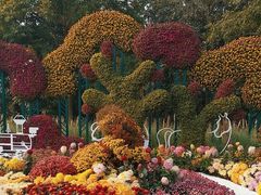 -上海共青森林公园