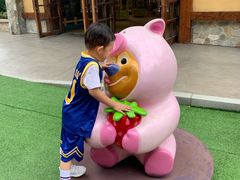 -郑州方特梦幻王国