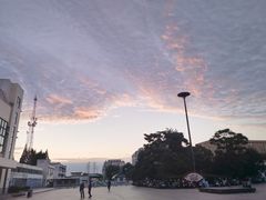 -日照海滨国家森林公园