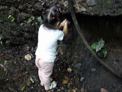 -寻龙山风景旅游区