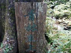 -海南热带雨林国家公园吊罗山景区