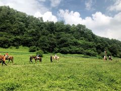 -大水川景区