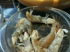 -渔傅·蓝海岸霞浦海鲜(正祥店)