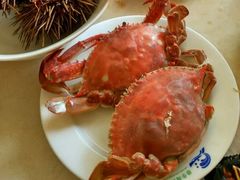 -春华海鲜城(广场西苑店)